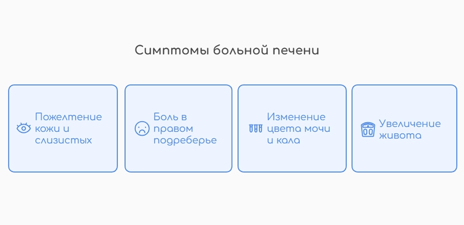 Симптомы больной печени (инфографика)